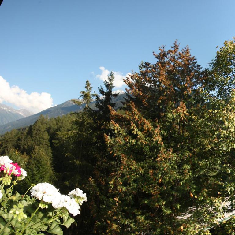 Apart Tuxertal - Einzelzimmer Kolmblick - 2
