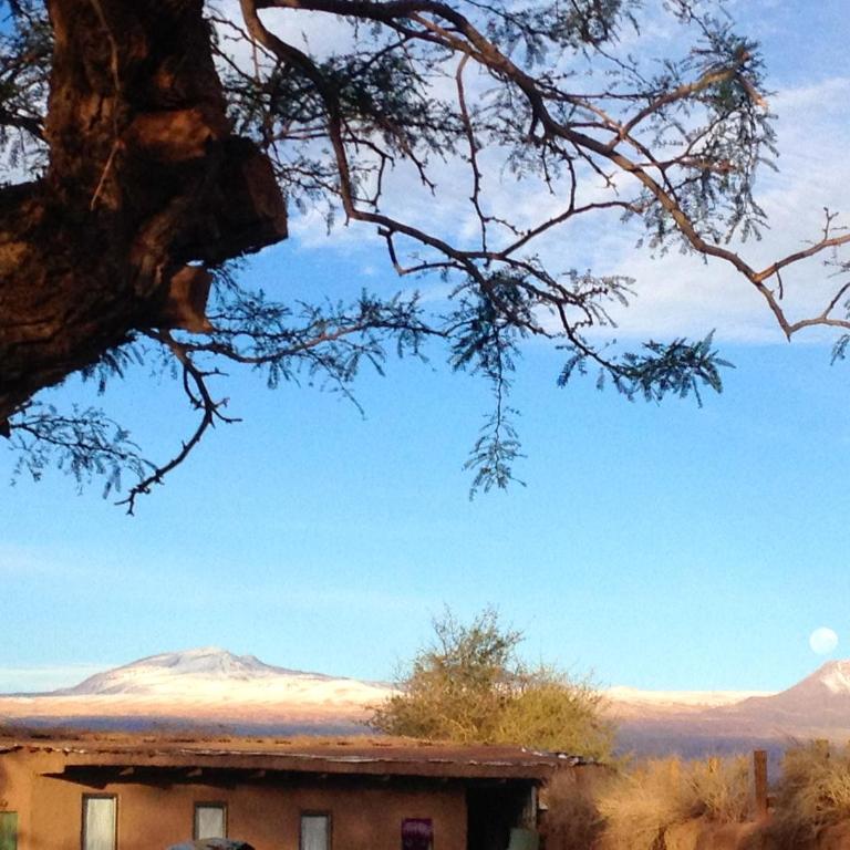 Atacama Loft & Glamp - Bungalow - 6