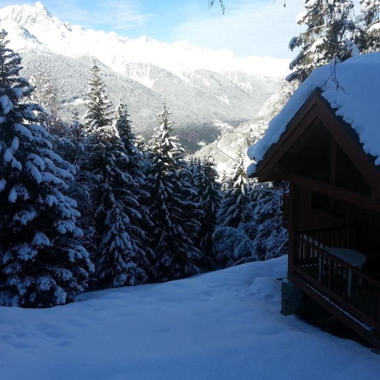 Chalet in Huez near Ski Slope - Superior Chalet - 13