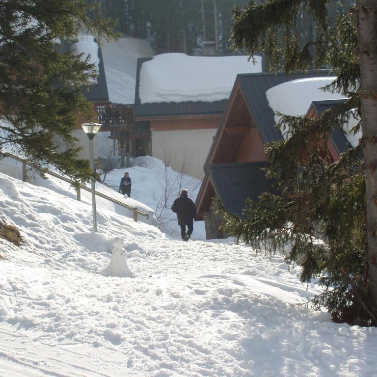 Chalet in Huez near Ski Slope - Superior Chalet - 15