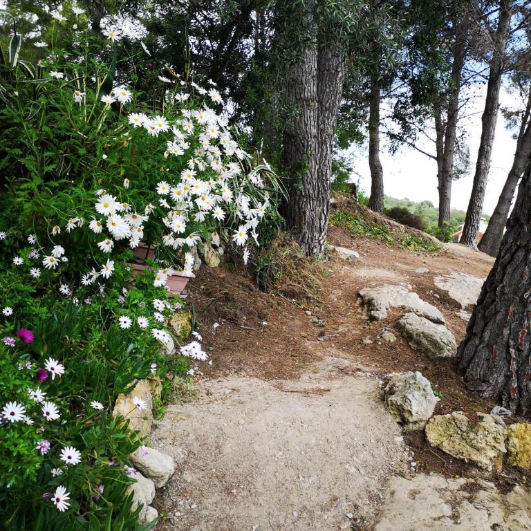 Apartamento entre la playa y la montaña - Apartamento de 2 dormitorios - 25