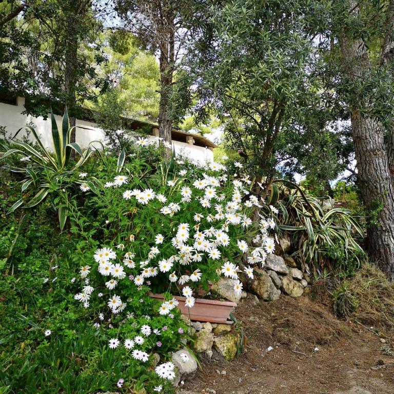 Apartamento entre la playa y la montaña - Apartamento de 2 dormitorios - 26