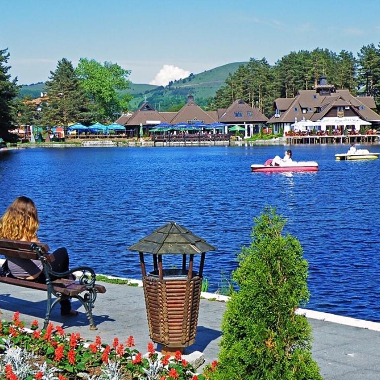 Zlatibor apartman Vladovic - Apartman sa 1 Spavaćom Sobom - 16