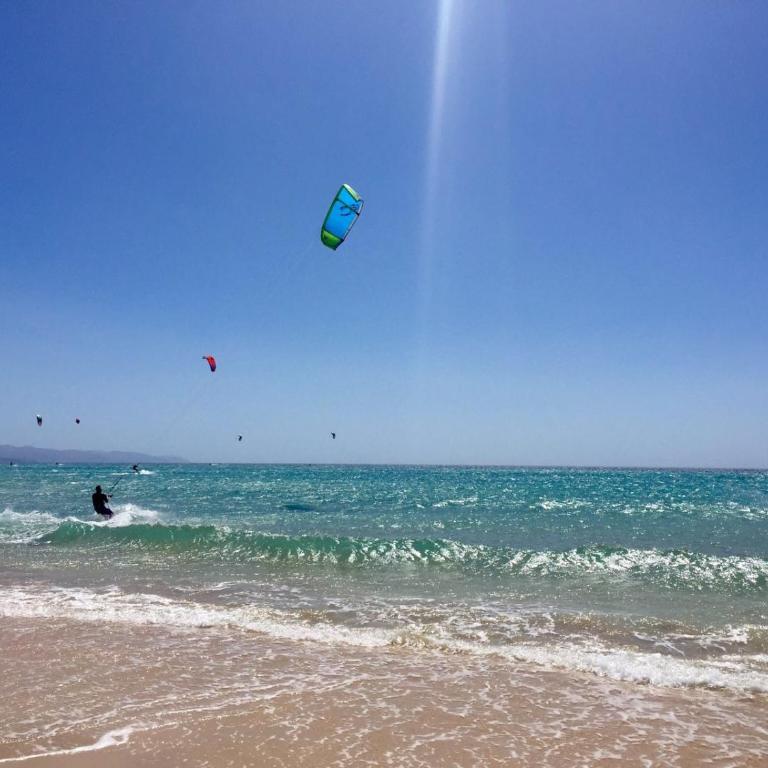 Residence Playa Paraiso With Ocean View - Green Flat - Apartamento con vistas al mar - 18
