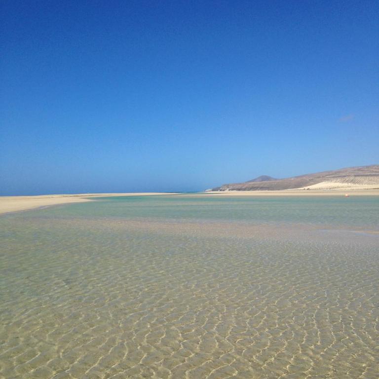 Residence Playa Paraiso With Ocean View - Green Flat - Apartamento con vistas al mar - 22