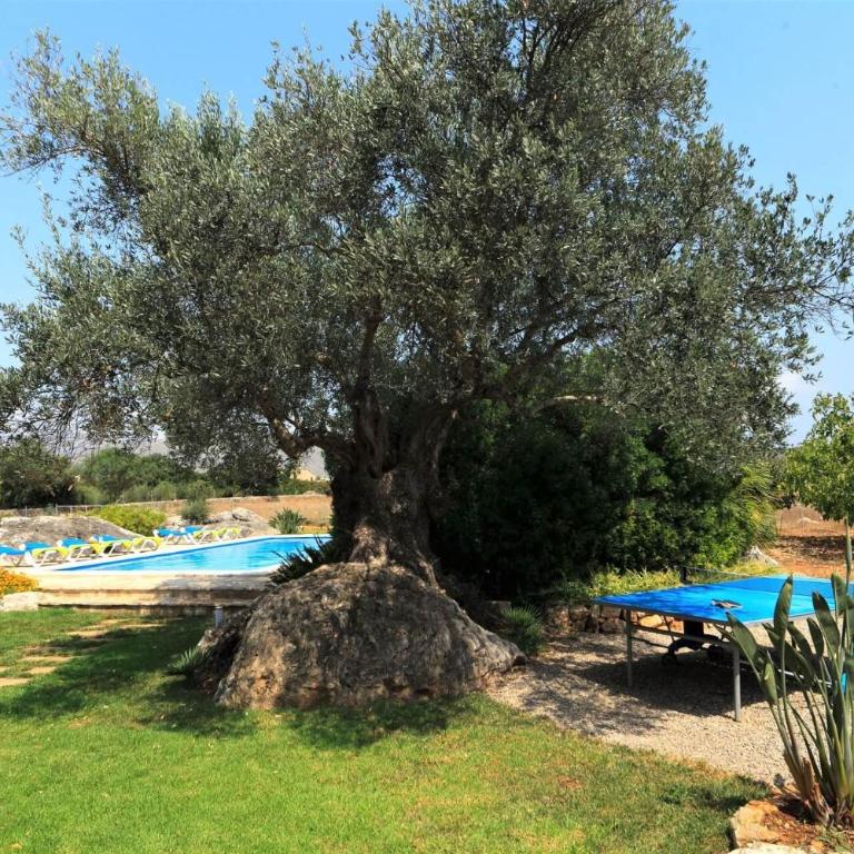 Villa Els Baladres by Sealand Villas - Villa with Private Pool - 20