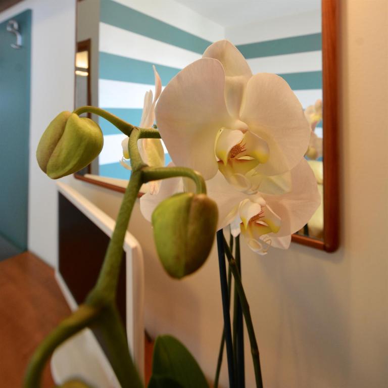 Astor Hotel - Triple Room - 1