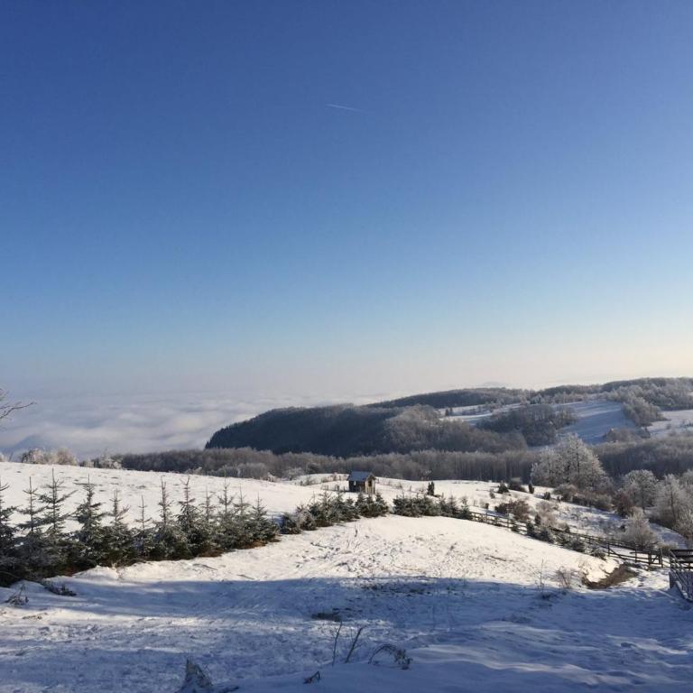 Vila Hajdi Planina Tara - Vila sa 3 Spavaće Sobe - 42