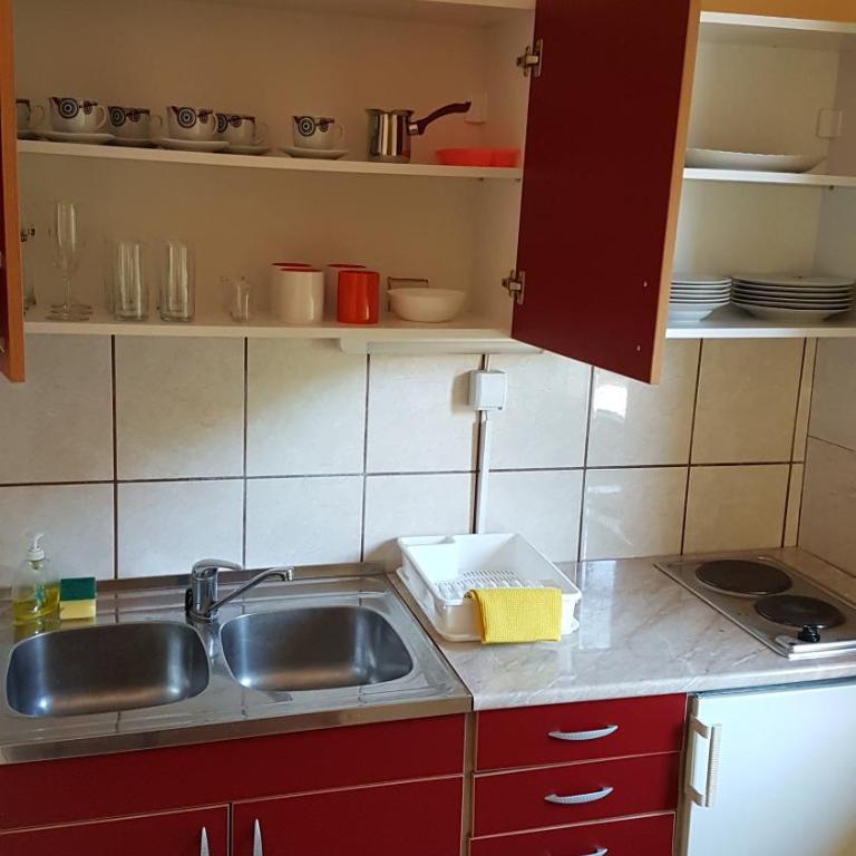 Apartmani Smiljanic Sokobanja - Apartment with Terrace - 14