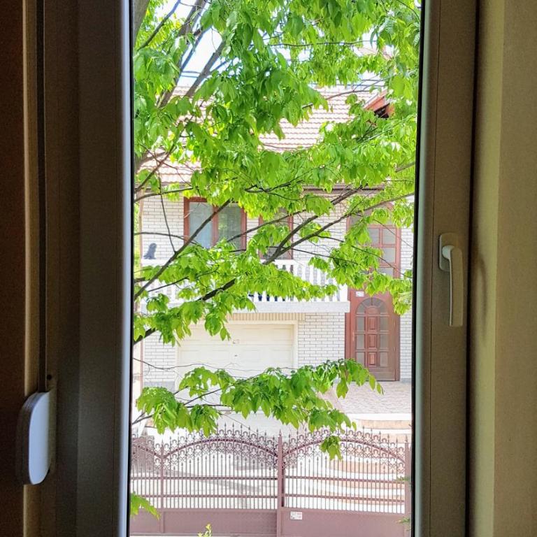 Apartmani Smiljanic Sokobanja - Apartment with Terrace - 15