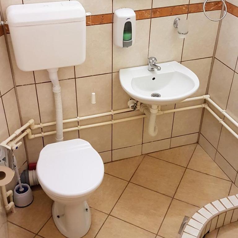 Apartmani Smiljanic Sokobanja - Apartment with Terrace - 16