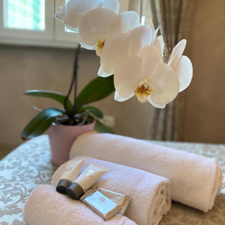 Domus Valadier B&B Guesthouse - Luxury Triple Room - 1