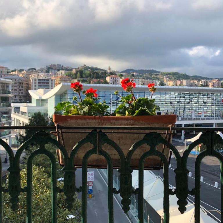 Relax in Darsena - Savona - Appartamento - 43