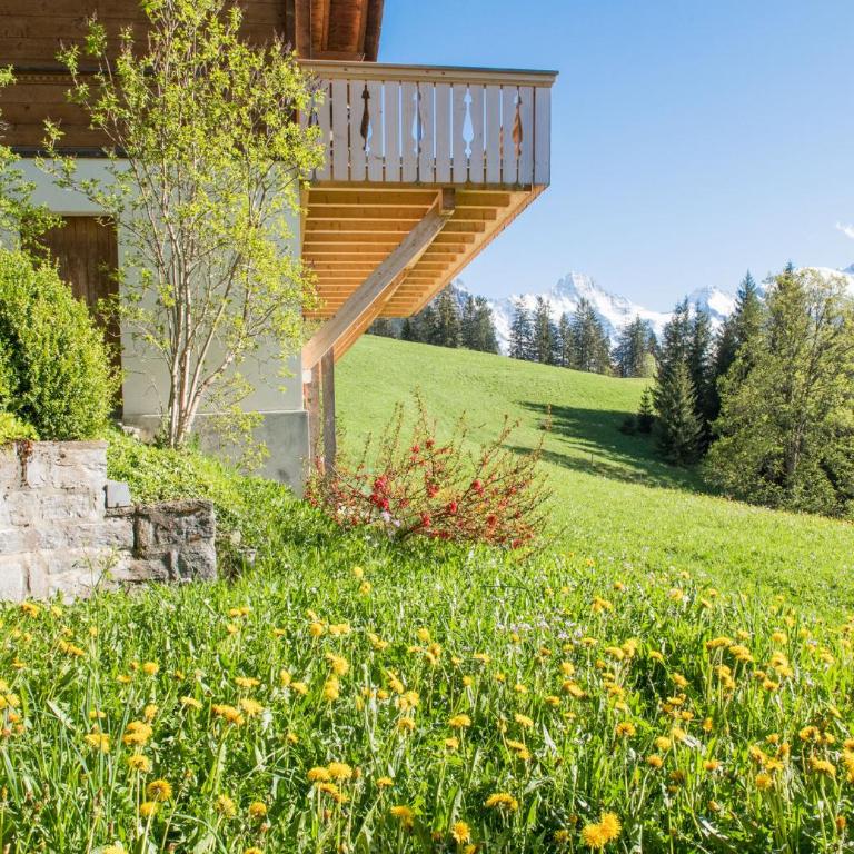 Chalet Irene - Penthouse-Apartment - 24