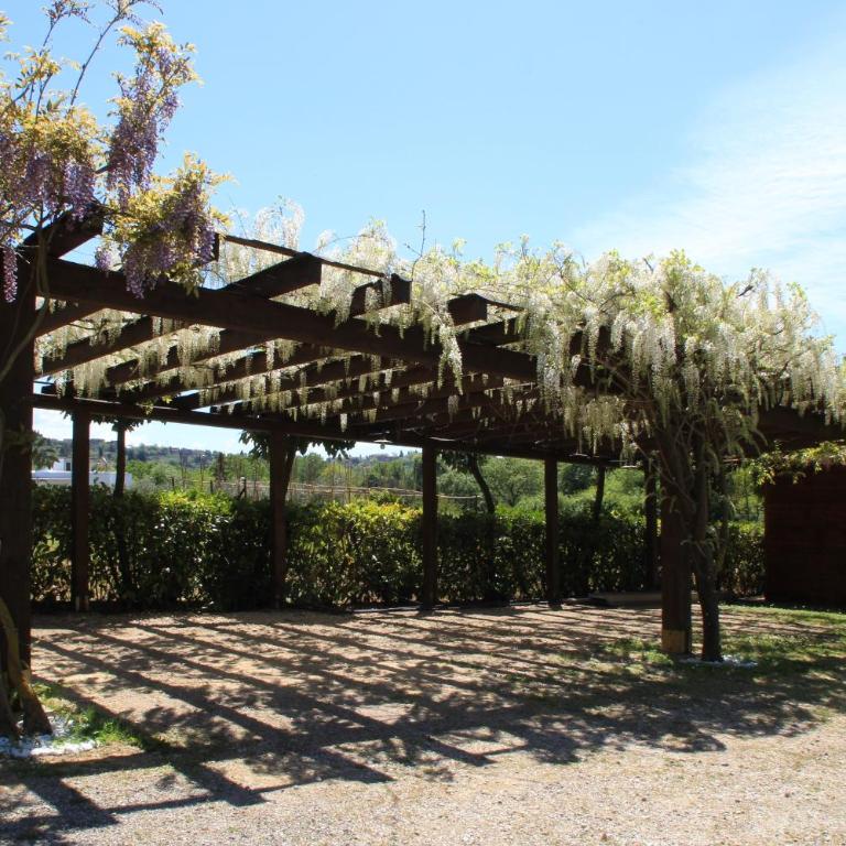 Podere la Campagnola - Vacation Home - 33