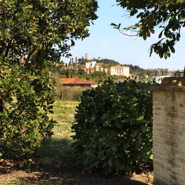 Podere la Campagnola - Vacation Home - 31