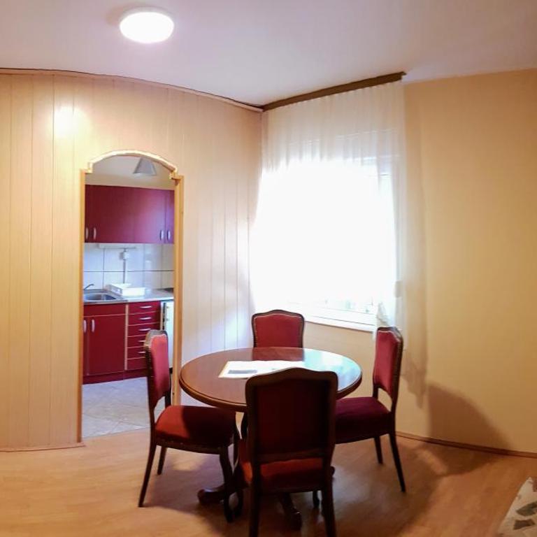 Apartmani Smiljanic Sokobanja - Apartment with Terrace - 11