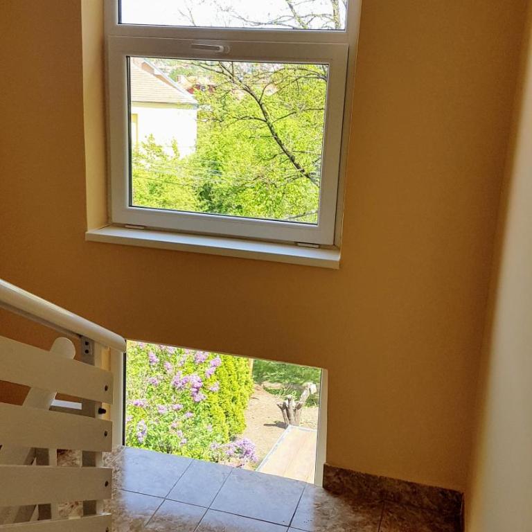 Apartmani Smiljanic Sokobanja - Apartment with Terrace - 17