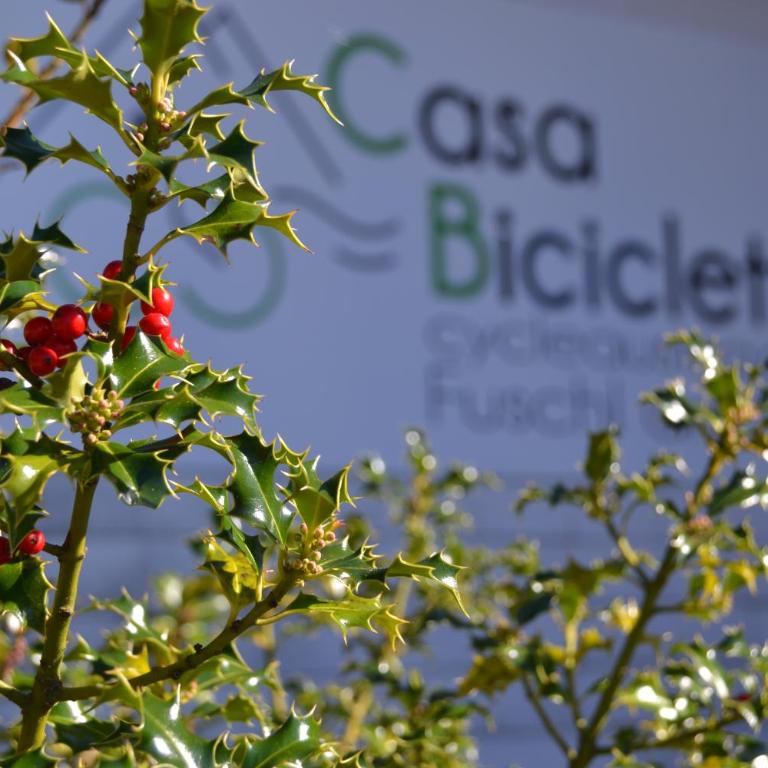 Casa Bicicletta - Apartment mit Balkon - 2