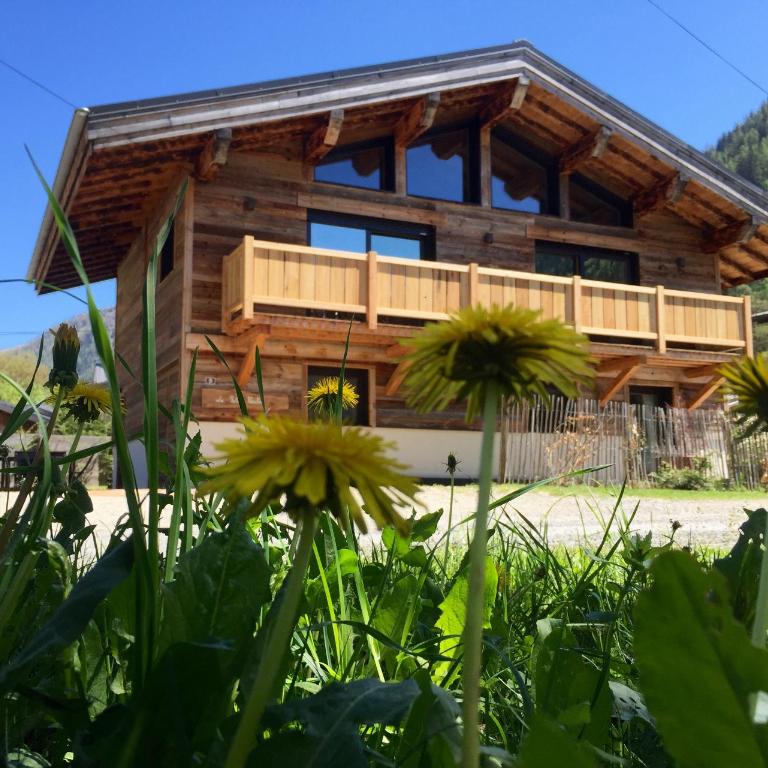 Chalet le petit Nicolas, jacuzzi, vue Mont Blanc - Chalet - 9