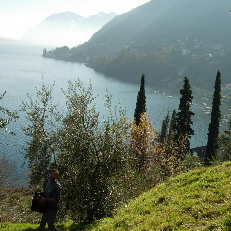 casa indipendente "IL SOLE DELLE GRIGNE" - Casa Vacanze - 33