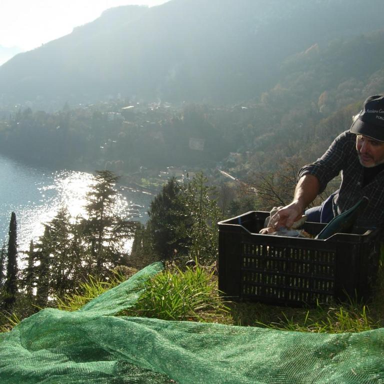 casa indipendente "IL SOLE DELLE GRIGNE" - Casa Vacanze - 32