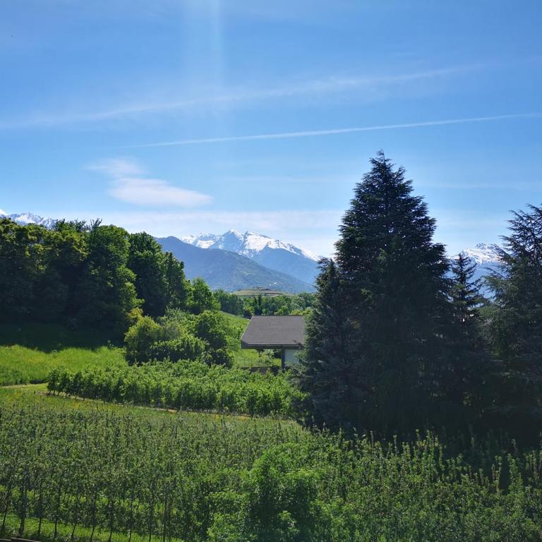 Le Parfum du Sel - Suite con Vista Montagna - 8