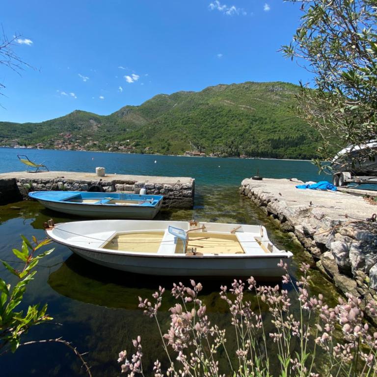 Oldhouse Vucinovic - Apartman - Prizemlje - 48