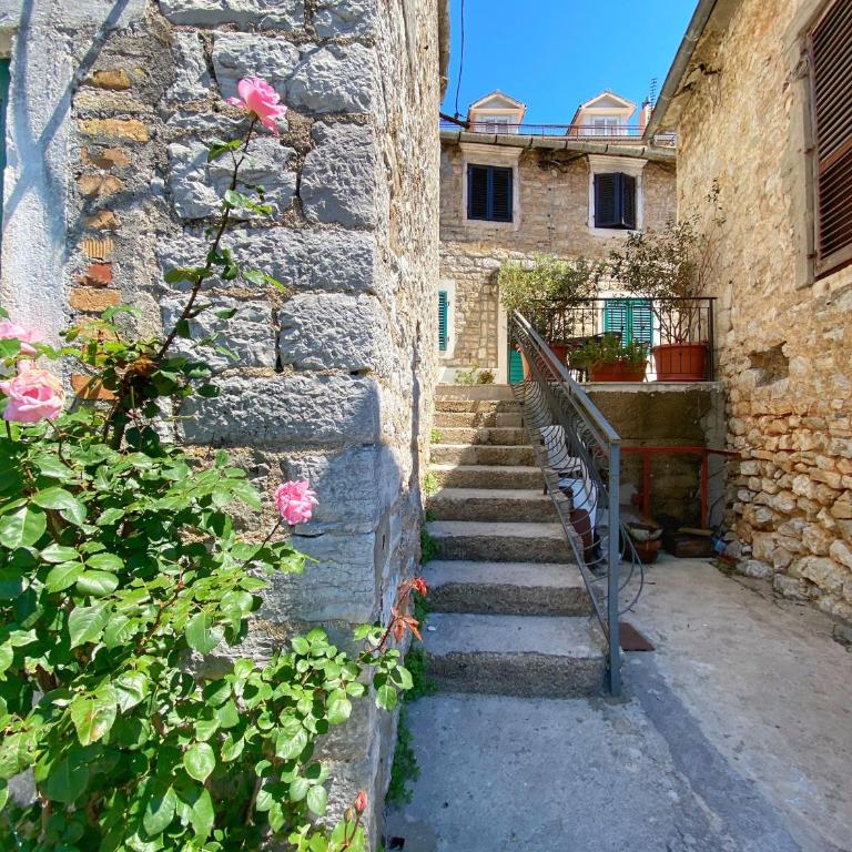 Oldhouse Vucinovic - Apartman - Prizemlje - 27