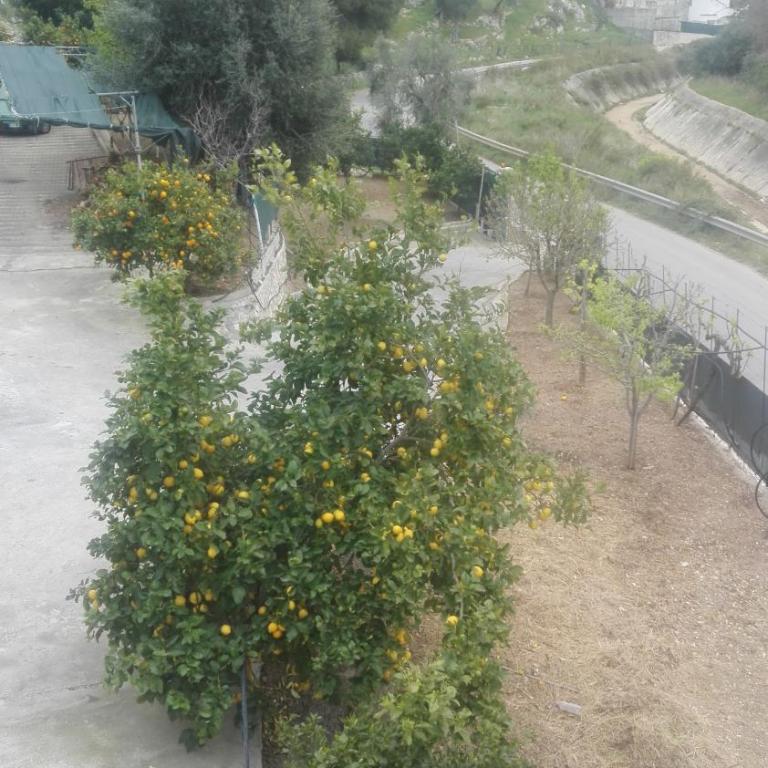 Villa Teresa - Appartamento con 1 Camera da Letto - 56