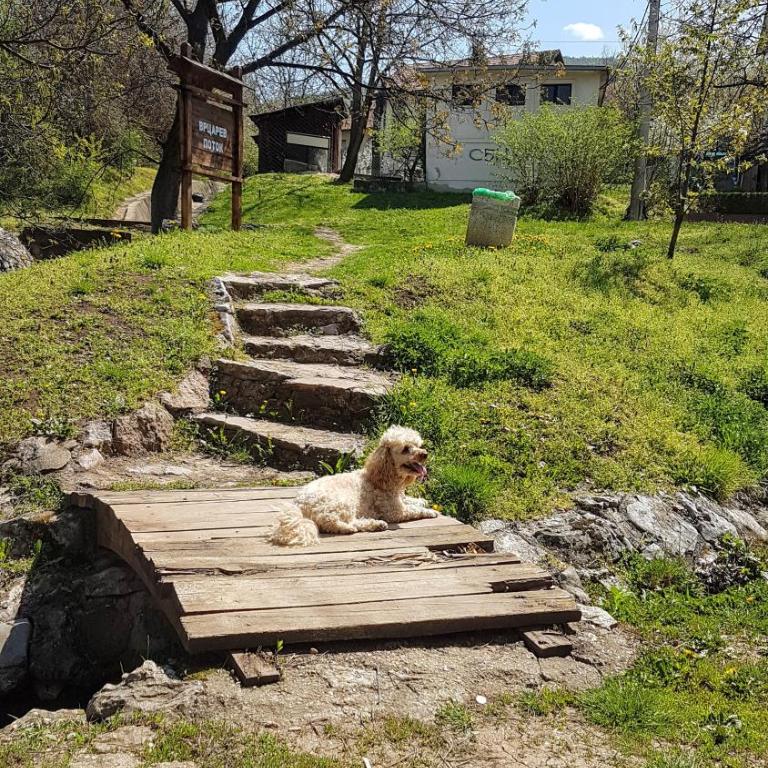 Apartmani Smiljanic app 3 - One-Bedroom Apartment - 19