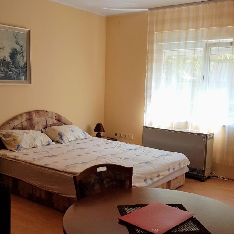 Apartmani Smiljanic Sokobanja - Studio with Balcony - 10