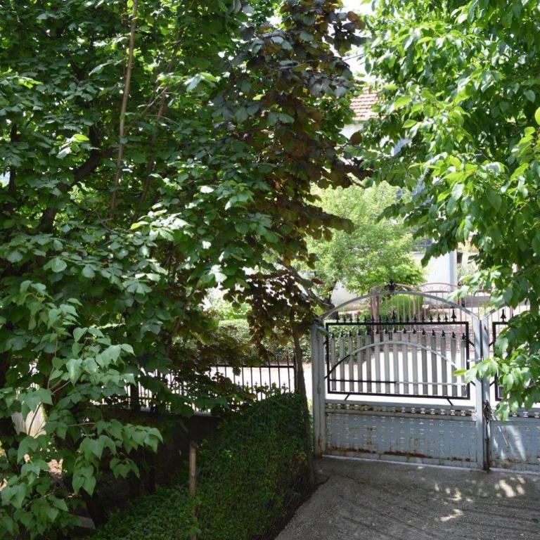 Apartmani Smiljanic Sokobanja - Apartment with Terrace - 8