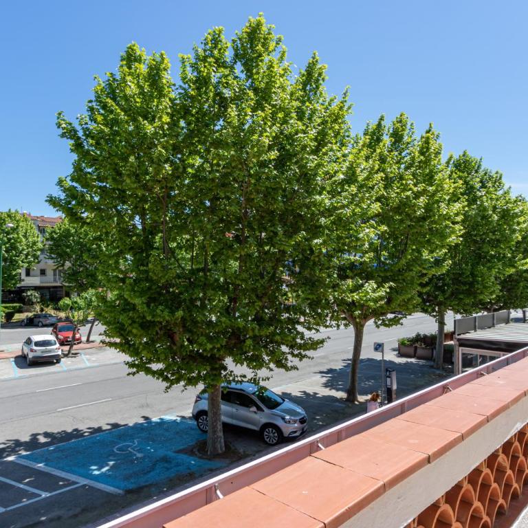 Apart-rent Apartment Sant Mori 0187 - Apartamento de 2 dormitorios - 25