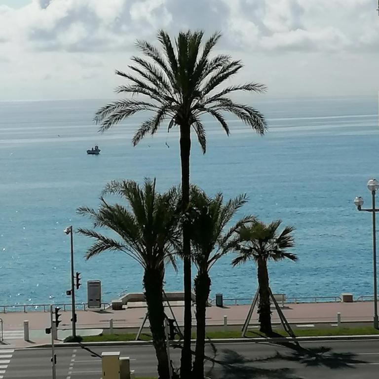 Terrasse Vue Mer Plage à 50 m Parking - Appartement - Vue sur Mer - 11