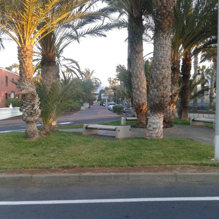 balcon del mar jobe - Apartamento de 1 dormitorio - 17