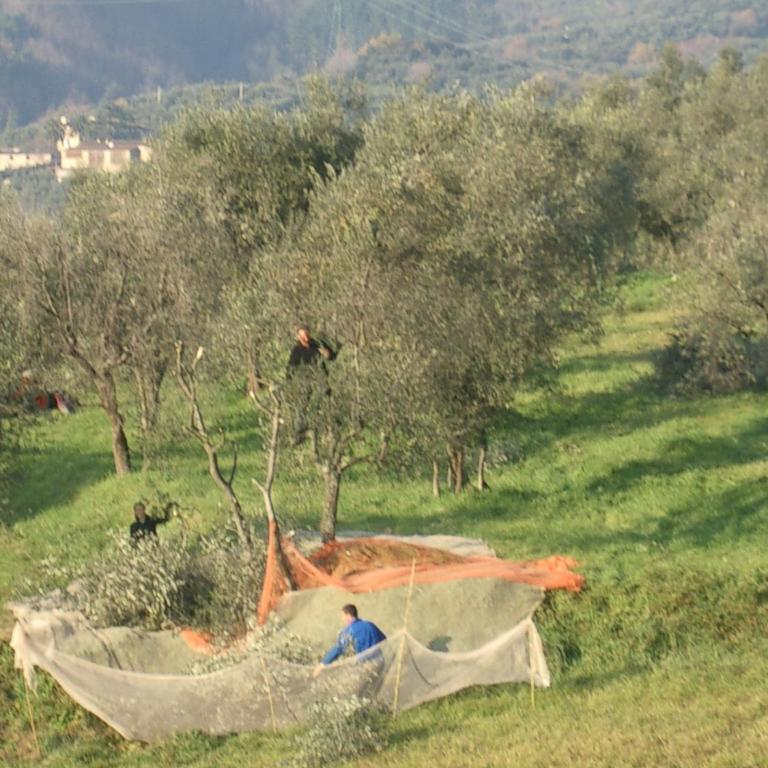 Casale Toscana - Casa con 3 Camere da Letto - 20