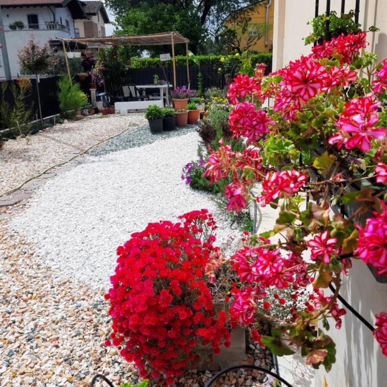 Villa Marianna Garda Lake - Superior Apartment - 1