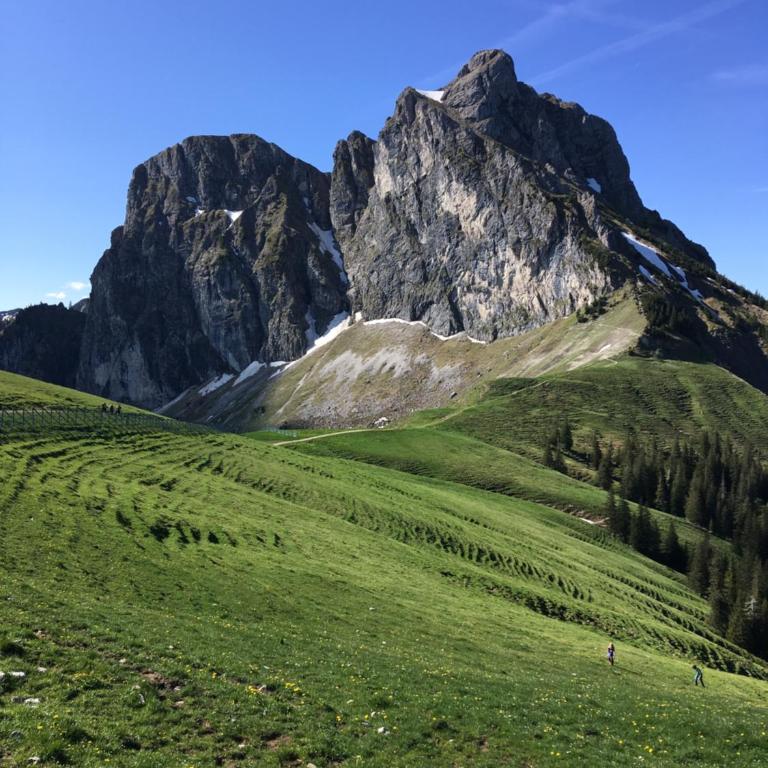 VitAllgäu-Neues Studio mit Königscard - Studio mit Bergblick - 35