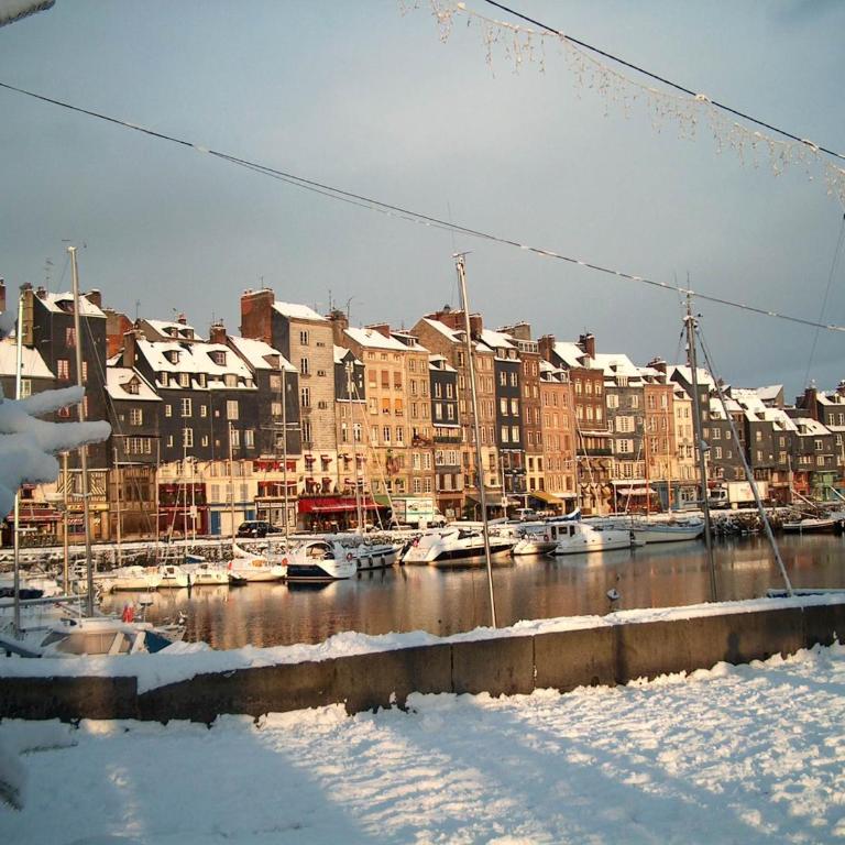 A la Terrasse coeur Honfleur - Studio - 25