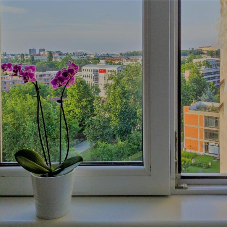 Sweet Home Danube Liman Apartment - Apartman sa 1 Spavaćom Sobom - 42