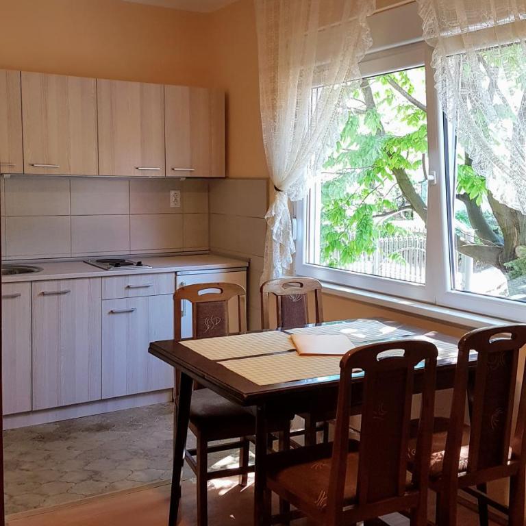 Apartmani Smiljanic Sokobanja - One-Bedroom Apartment - 12