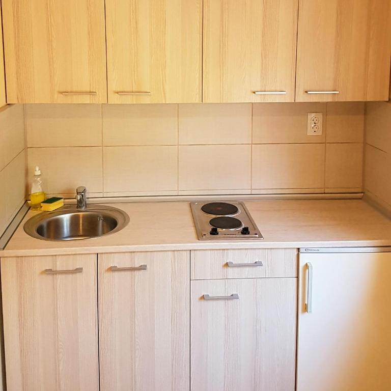 Apartmani Smiljanic Sokobanja - One-Bedroom Apartment - 13