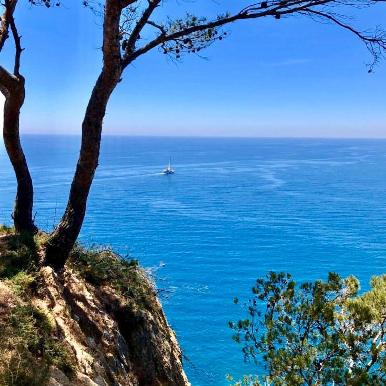 Apartamento Tossa de Mar - Apartamento con vistas al mar - 36