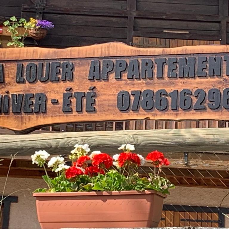 APPARTEMENT PLEIN SUD AUX SAISIES N°6 - One-Bedroom Apartment - 29
