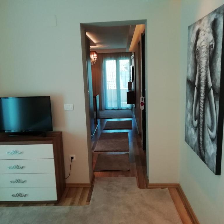 Apartments and Rooms Grand Palazzo - Deluks Apartman s 1 Spavaćom Sobom i Balkonom - 3