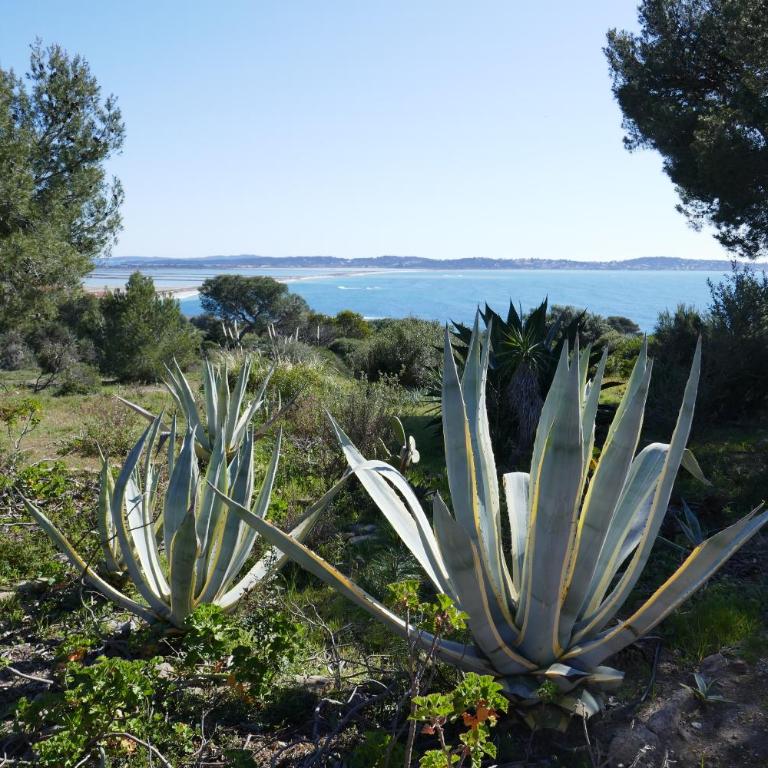 Bel Appartement accès direct mer; L'Almanarre, HYERES - Appartamento con 1 Camera da Letto - 5