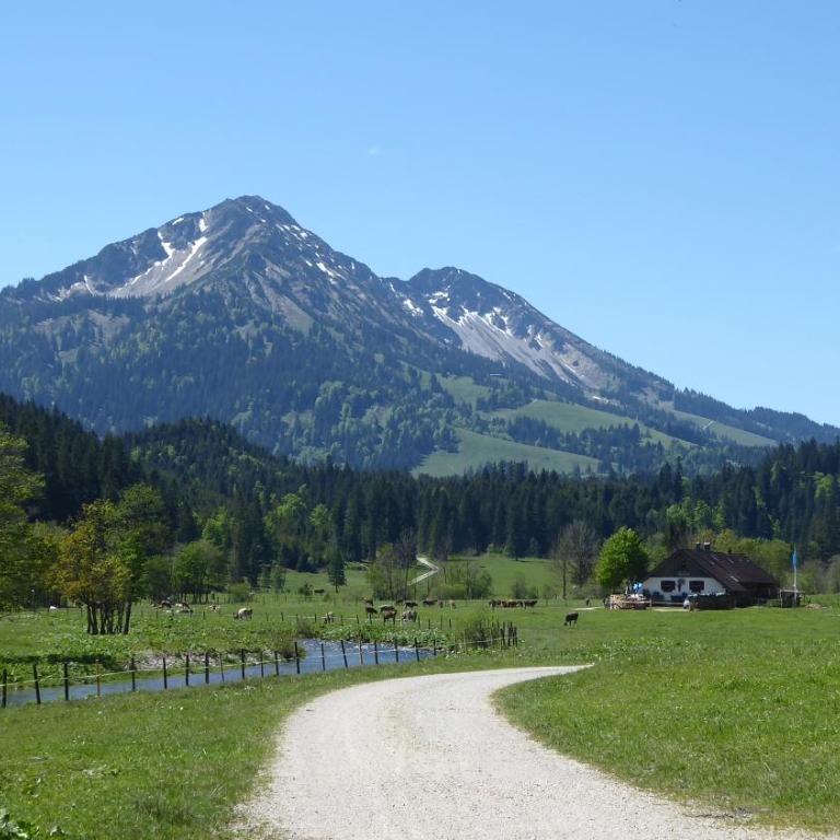 FW Weissensee 44 - Apartment mit 2 Schlafzimmern - 38