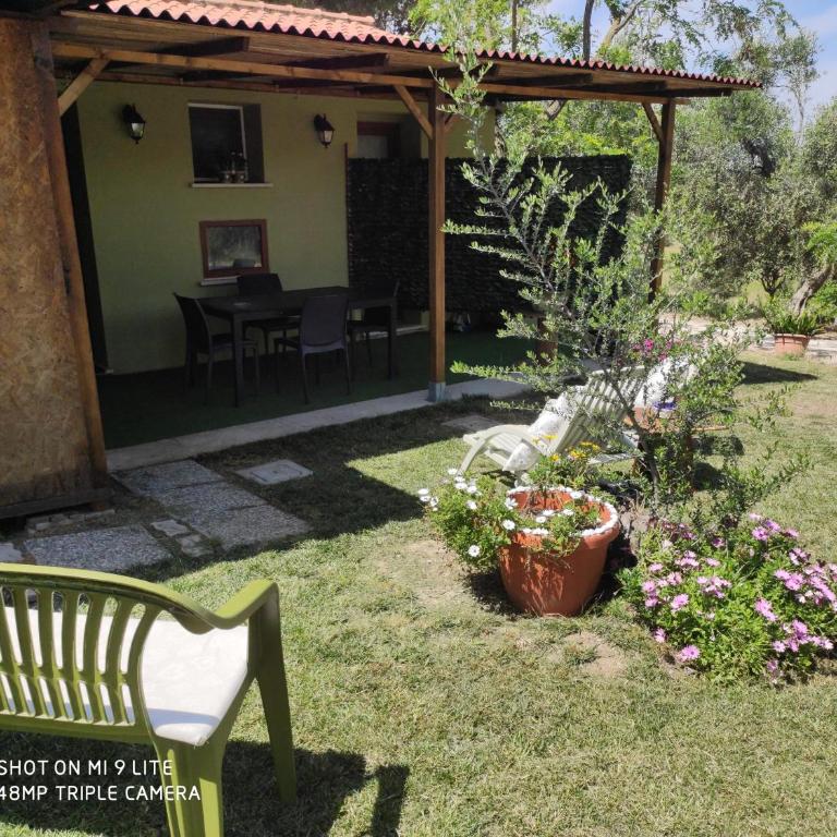 Agriturismo Poggio all'Olivo - Camera Matrimoniale con Bagno Privato - 2