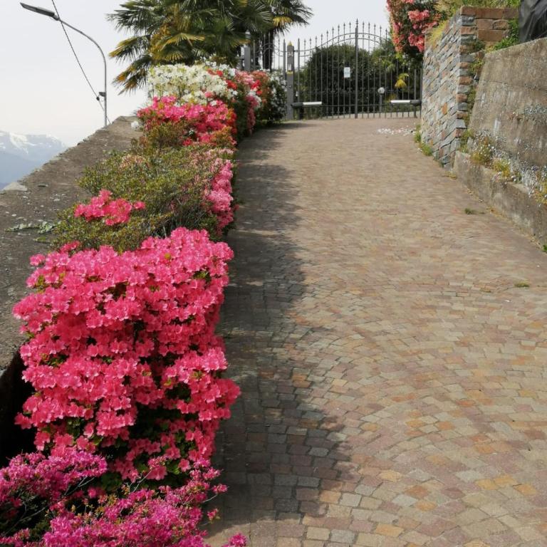 Villetta Primavera - Casa con 1 Camera da Letto - 47